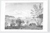 Port St George, Lissa, from the town by William Innes Pocock
