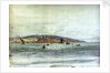 Tangiers by William Lionel Wyllie