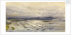 Birdseye view of fleet by William Lionel Wyllie