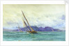 Arran by William Lionel Wyllie