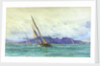 Arran by William Lionel Wyllie