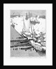 Funeral of the late Prince Louis Napoleon - debarkation of the body at Woolwich. by William Lionel Wyllie