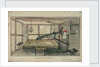Study of accommodation in a vessel by Charles Copland