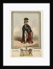 The Hero of the Nile by James Gillray