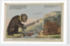 Foreign Amusements or the British Lion on the Watch (caricature) by S.W. Fores