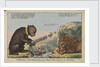 Foreign Amusements or the British Lion on the Watch (caricature) by S.W. Fores