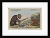 Foreign Amusements or the British Lion on the Watch (caricature) by S.W. Fores