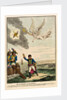 Buonaparte leaving Egypt by James Gillray