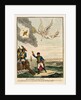 Buonaparte leaving Egypt by James Gillray