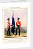Costume of the Royal Navy & Marines. Royal Marines (Subalterns) 2d. Lt. by L. Mansion