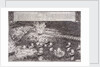 The Hellburners of Antwerp, 1585 by unknown