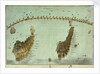 Plan of the attack by Lord Nelson, on the combined fleet, 21 October 1805 by Robert Dodd