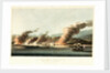 No. 10 'A view of Linga or Lung, from the sea, during the destruction of dhows on 16 November 1809' by R. Temple