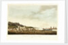 No. 14: 'The attack of the enemy's cavalry at Shinaass, 2 January 1810' by R. Temple