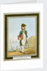 Midshipman by Thomas Rowlandson
