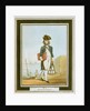 Midshipman by Thomas Rowlandson