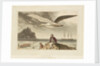 Albatross by Thomas Daniell