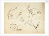 Sketches of two stern views of ships also of an anchor and rigging by Oswald Walter Brierly