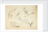 Sketches of two stern views of ships also of an anchor and rigging by Oswald Walter Brierly