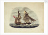 HM Sloop 'Sparrowhawk' by William Smyth