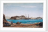 Island of Faroun near the head of the Sea of Akabah.... by Robert Moresby
