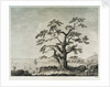 View of harbour landscape by Parkinson