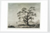 View of harbour landscape by Parkinson