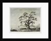 View of harbour landscape by Parkinson