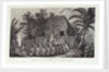 An offering before Capt Cook, in the Sandwich Islands by John Webber