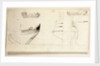 Two views of yacht and profiles of bow and stern by Willem Van de Velde the Younger