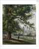 Greenwich Hospital from the park, June 1855 by Thomas Hosmer Shepherd