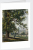 Greenwich Hospital from the park, June 1855 by Thomas Hosmer Shepherd
