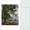 Greenwich Hospital from the park, June 1855 by Thomas Hosmer Shepherd