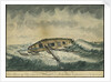 A miraclous preservation in a storm (2) by Cranshaw