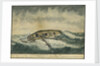 A miraclous preservation in a storm (2) by Cranshaw