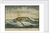 A miraclous preservation in a storm (2) by Cranshaw