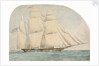 The opium clipper 'Water Witch' by unknown