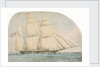 The opium clipper 'Water Witch' by unknown
