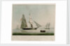 The Celebrated Piratical Slaver L' Antonio with others of the Black Craft lying in the Bonny River by Nicholas Matthew Condy