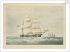 HMS 'Pearl', commanded by Lord Clarence Paget by C. Rosenberg
