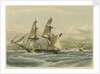 HM brig 'Frolic', 16 guns, slaver driven on shore, coast of Brazil by John Vernon
