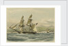 HM brig 'Frolic', 16 guns, slaver driven on shore, coast of Brazil by John Vernon