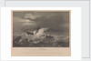 The loss of HM Steam Frigate 'Avenger', 1847 by CP Williams