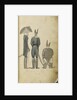Bucks of the first kind 1801 by Edward Pelham Brenton