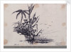 Group of trees.... Java. 1. Cocoa Tree, 2. Palm Tree, 3. Plantain by C. W. Browne