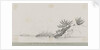 Entrance to Murray's Sound, Korea by C. W. Browne