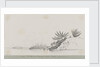 Entrance to Murray's Sound, Korea by C. W. Browne