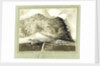 Tristan da Cunha South Atlantic by C. W. Browne
