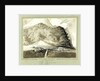 Tristan da Cunha South Atlantic by C. W. Browne