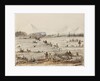 Fox hunting, Magellan Straits by Harry Edmund Edgell